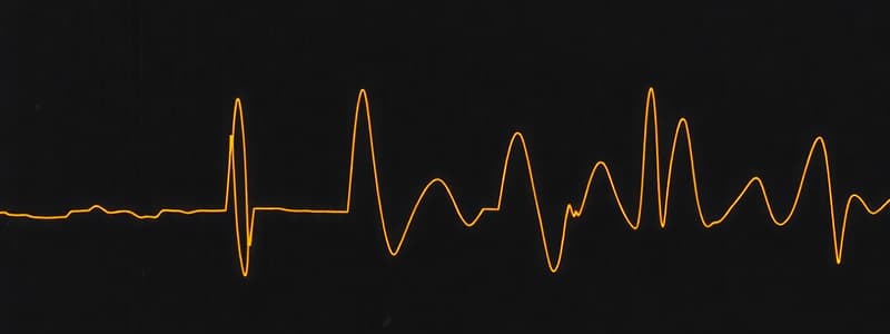 Électroencéphalographie et Potentiels Évoqués