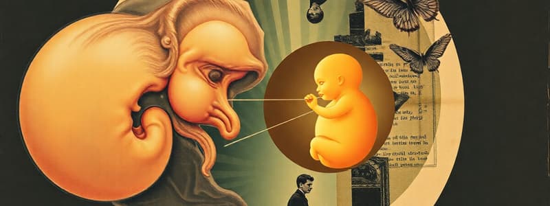 Embryology Overview and Experimental Insights