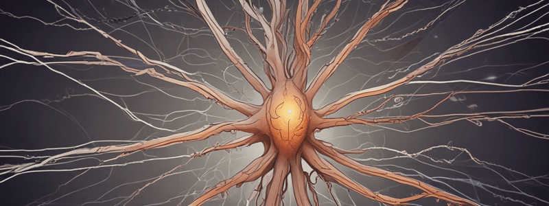 Brachial and Lumbar Plexus Evaluation