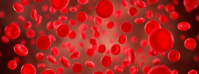 Anemia e le sue Classificazioni