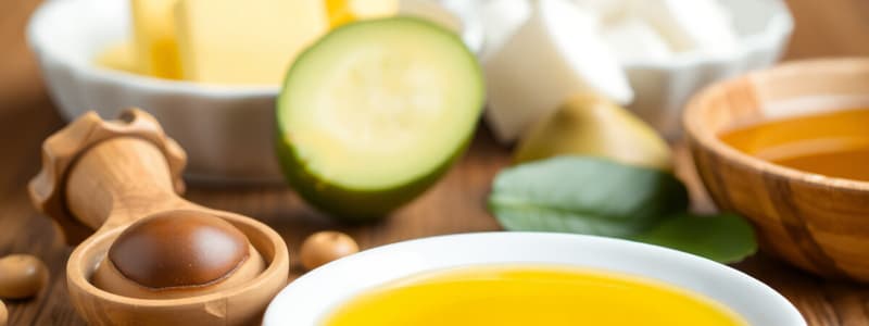 Plant Oils and Types of Fats