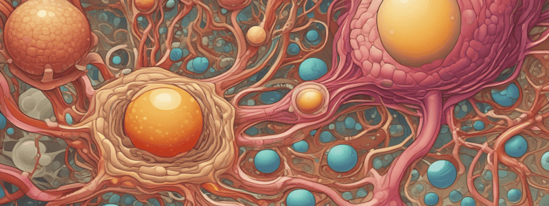 Urinary System Quiz: Filtration, Urine Production, and Dehydration