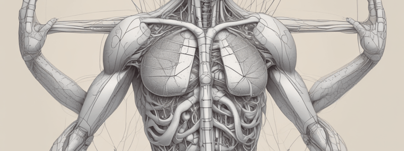 Reproductive System Study Guide