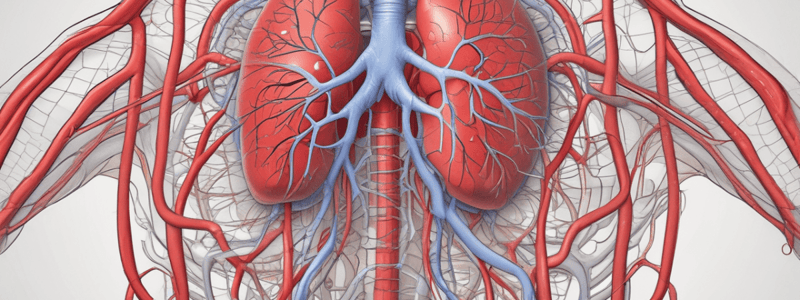 Pulmonary Circulation and Blood Volume