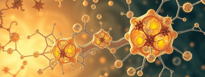 Enzyme Function and Mechanism Quiz