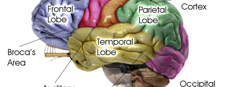 Biopsych (summary)