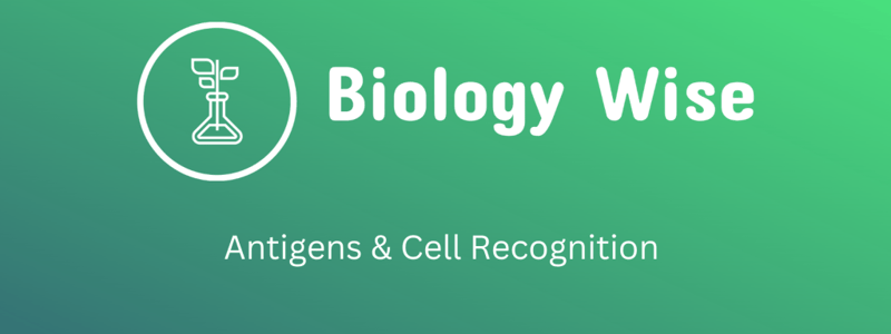 Antigens and Cell Recognition Introductory Quiz