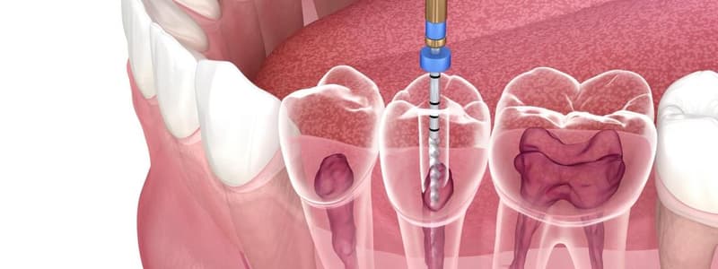 Endodontic Diagnostic Terminology