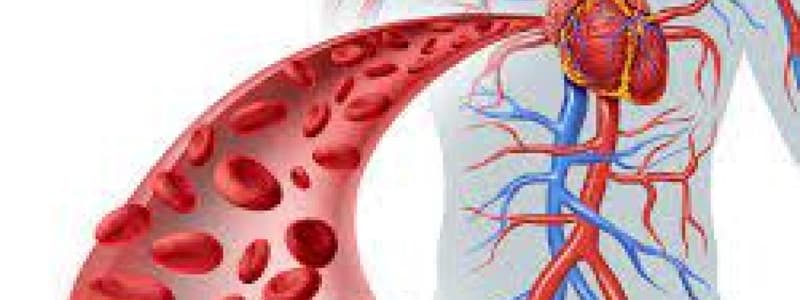 Chapter 20- Vessels and Circulation Quiz