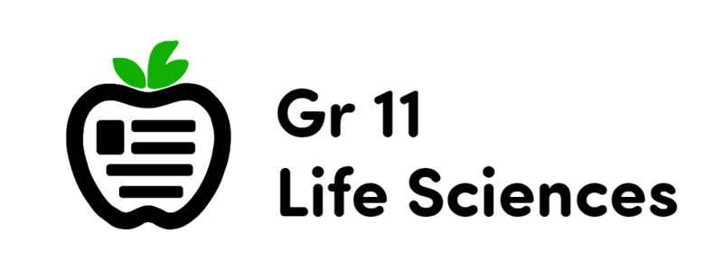 Life Sciences November Exam P1 (Easy)