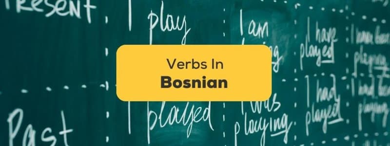 Bosnian Verb Conjugation Quiz