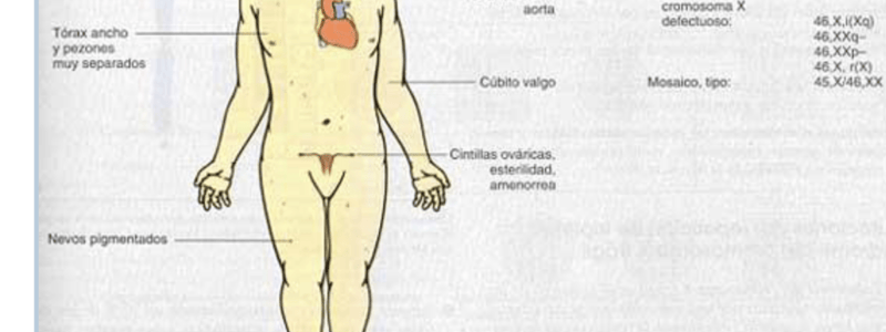 137. Quiz Trisomías I 289 a 293