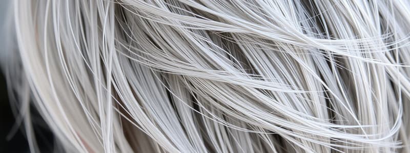 Understanding Gray Hair and Its Characteristics