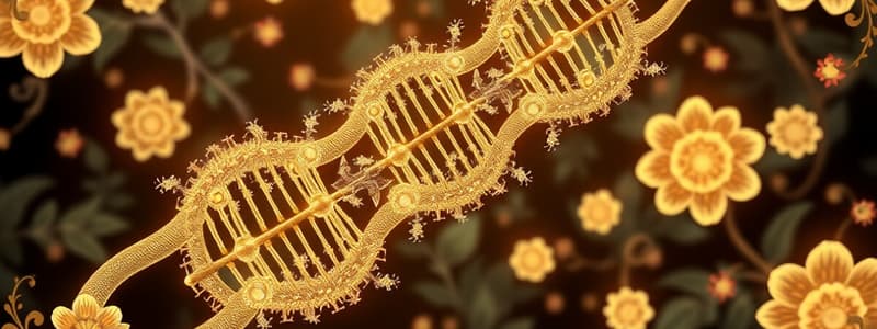 Prokaryotic Transcription Overview: L12