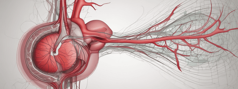 Hemodynamic LE9