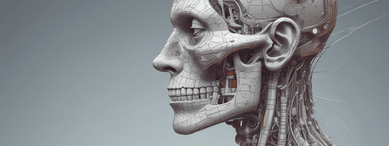 Knee Joint Anatomy and Programming Languages