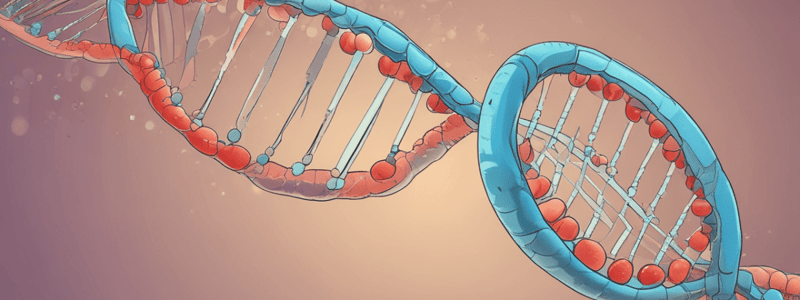 ADN et ARN : Molécules Essentielles