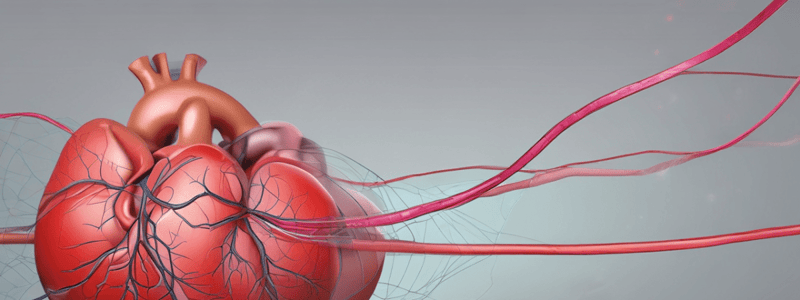 Right Atrial Pressure (RAP) in Cardiovascular Physiology