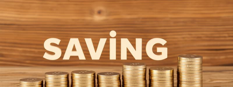 Savings and Capital Formation Overview