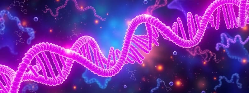 RNA World Hypothesis