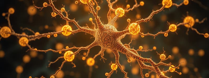 Neurobiology: Chemical Synapses