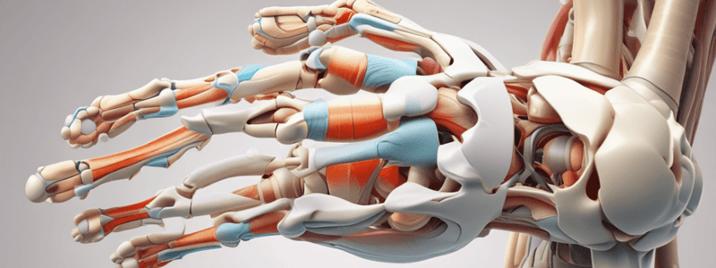 Chapter 9 - Joints: Classification and Structural Characteristics