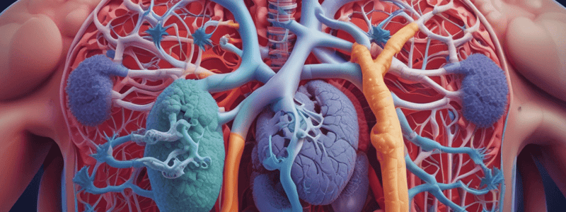 Unit 6: The Respiratory System - Functions and Gas Exchange