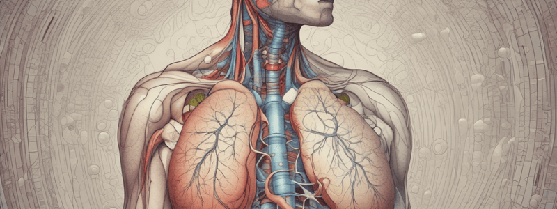 SAQ - Differences between normal and laboured breathing