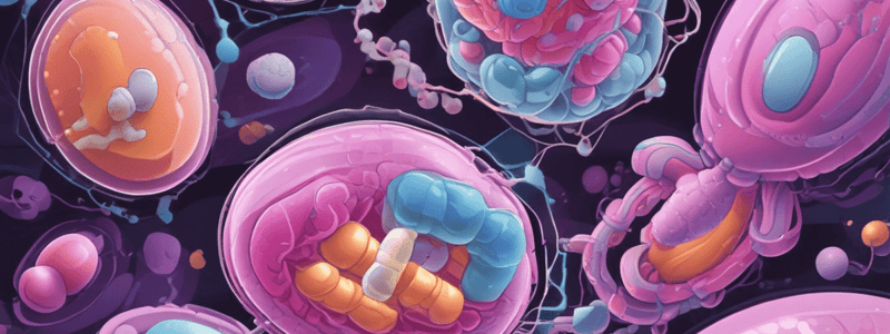 Antibiotic Resistance and Beta-Lactamase Inhibitors