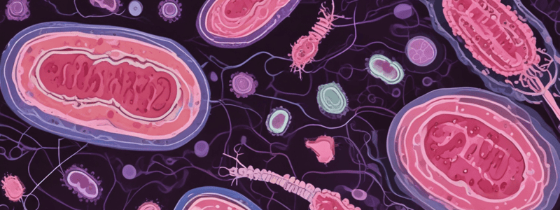 Pathogenesis of E. coli Infections