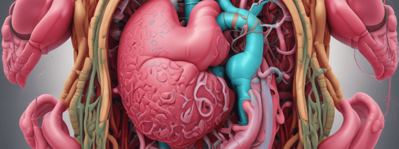 Digestive System Functions Quiz