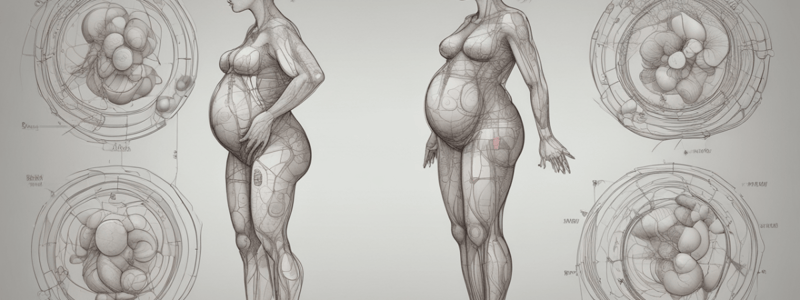 Fisiología del Embarazo y Desarrollo Fetal