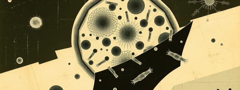 Cell Biology: Prokaryotic Cells Overview