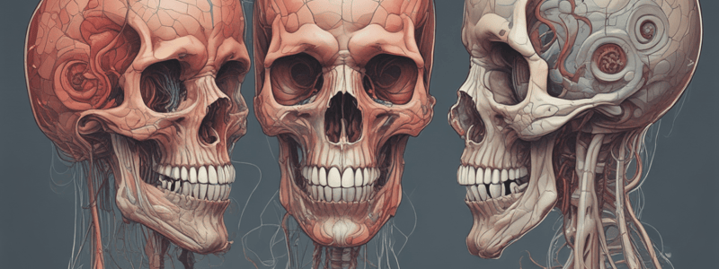 Anatomic Sciences: Palatal Development in Embryonic Development