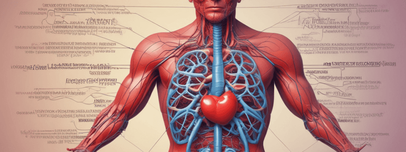 Circulatory System Quiz