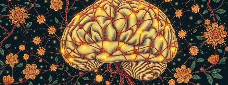 Neurotransmisores: Funciones y Efectos en el Cuerpo