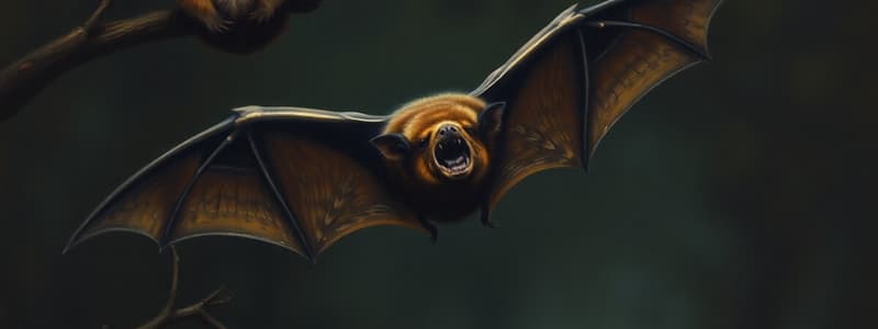 Ghost Bat Overview and Characteristics