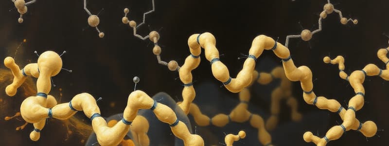 Biochemistry: Protein Structure Quiz