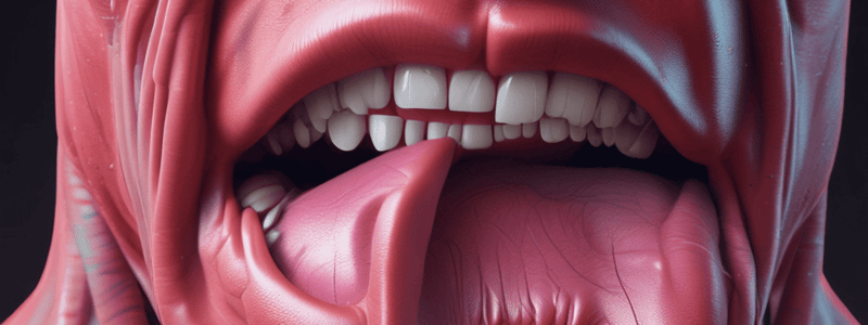 Anatomy of the Tongue Muscles