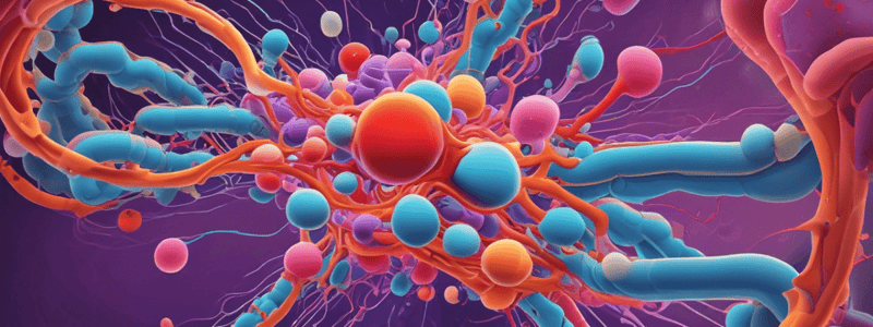 Glucose Uptake and Transport Mechanisms