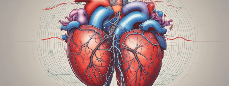 Heart Sounds and Cardiac Cycle Quiz