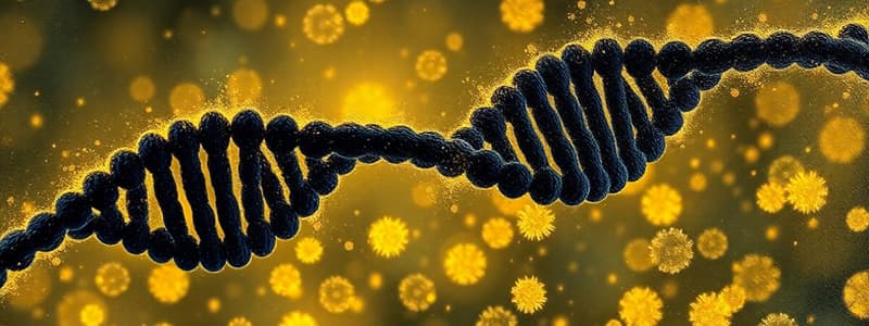 Transcription: DNA-Directed RNA Synthesis