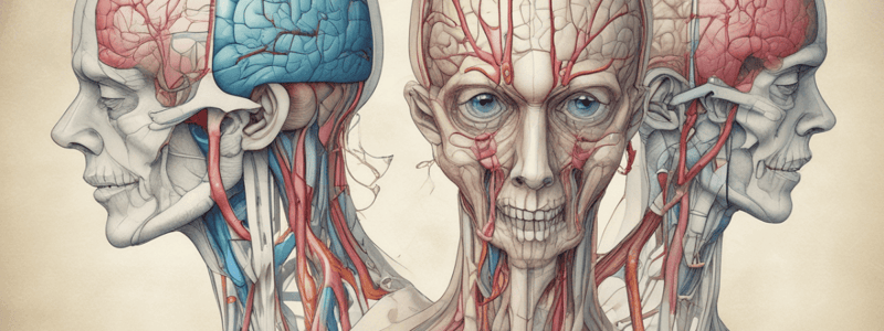 Cranial Nerves Examination