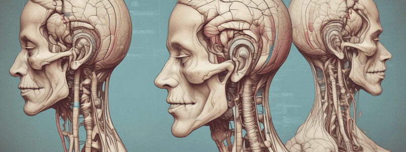 BDS2: Brainstem & Cranial Nerves