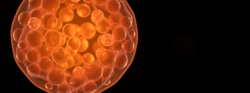 Cell Cycle Overview