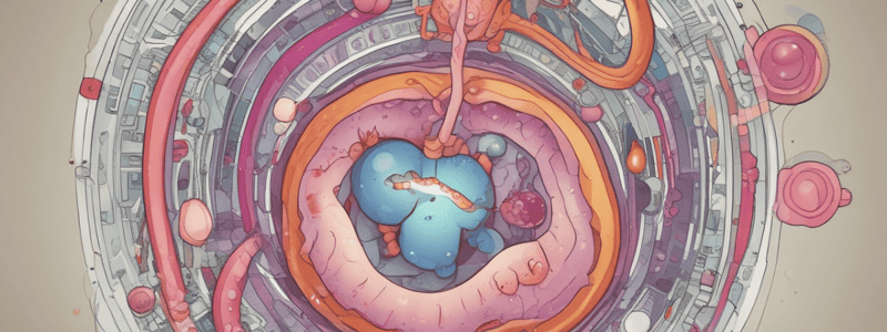 Metabolic Stress and Lactate Levels in Infections