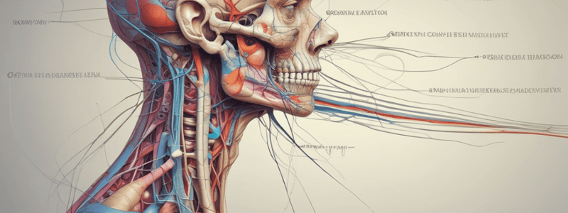 Anatomy LE 5: Autonomic and Peripheral Nervous Systems