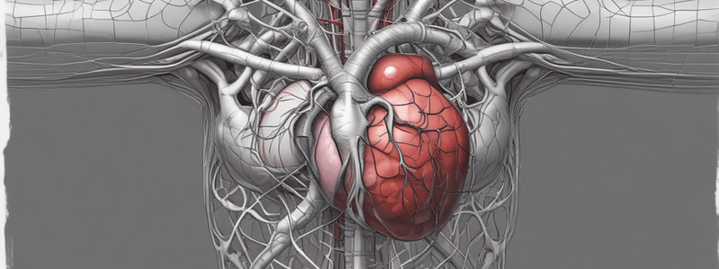 Heart Structure and Function