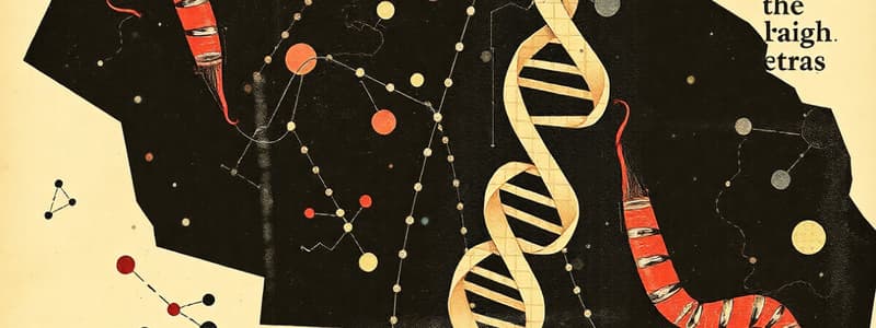 Nucleic Acid & Protein Synthesis Quiz