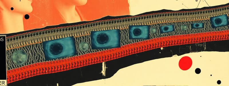 Plasma Membrane Structure and Function